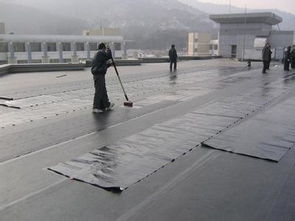 南沙防水補漏工程k11防水涂料